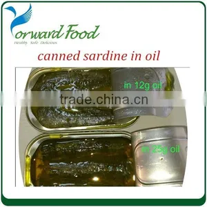 Canning Sardines China Sardine thumbnail-3