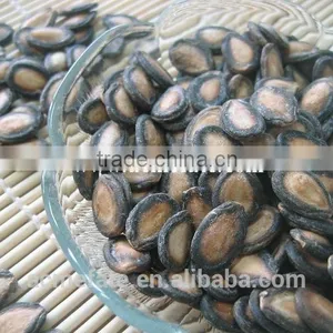Black Watermelon Seeds B Grade in Low Price thumbnail-2