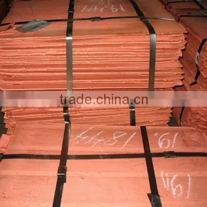 High Quality Copper Cathode Hot Sale (B54) thumbnail-5