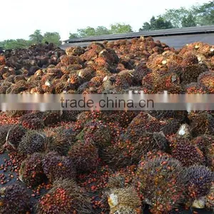 40-80TPH Palm Oil Mill/Palm Oil Mill Machinery In Malaysia And Indonesia thumbnail-1