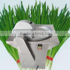 Stainless Steel Fruit Vegetable Grinding Machine thumbnail-1