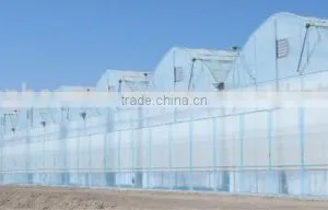 Greenhouse for Agriculture Hydroponics thumbnail-3