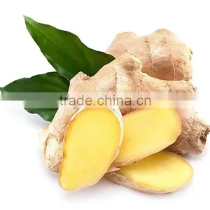 Stainless Steel Garlic Ginger and Chilli Sauce Grinding Machine Have Good Selling thumbnail-3