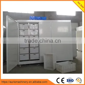 Barley Bud Seedling Machine/green Grass Growing Machine/pasture Grow Machine on Sale thumbnail-1