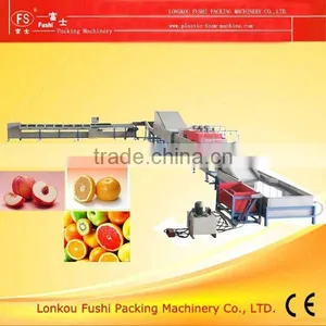 Fruit Cleaning Drying And Waxing Machine thumbnail-1