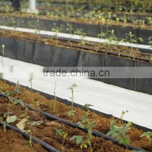 Grow Rough for Tomato / Vegtable thumbnail-1