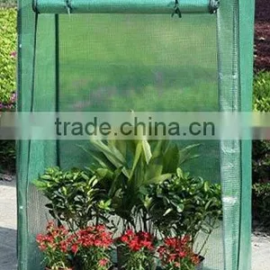 Tomato Greenhouse thumbnail-2
