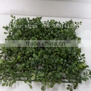 SJC016 Plastic Thick Grass Artificial Milan Grass Turf Fake Grass thumbnail-5