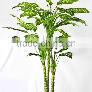 Wholesale Indoor Use Bonsai thumbnail-1