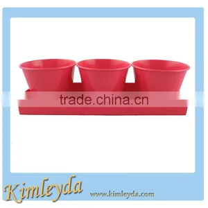Metal Flower Pots/planter in Tray thumbnail-3