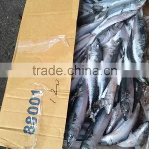Health Food Shops of Frozen Mackerel thumbnail-1