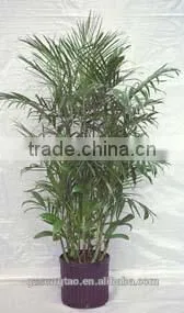 Indoor Foliage Artificial Plant Artificial Potted Plants thumbnail-5