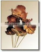 Palm Cap On Stem thumbnail-1