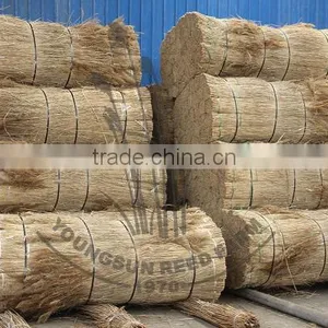 Thatching Reed Bundles thumbnail-1