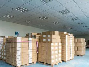 Guangdong Coobegirl Biotechnology Co.,Ltd. company overview - view 3 thumbnail