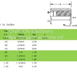 Nut Fs0318 thumbnail-1