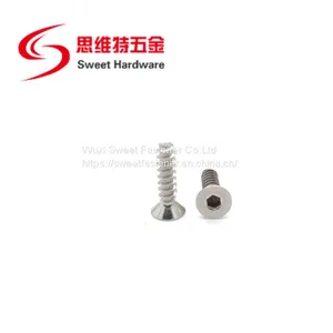Countersunk Head Socket Screw A2 A4 Stainless Steel Blunt Tip Tapping Screw With Competitive Price thumbnail-1