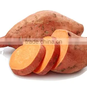 Frozen White Sweet Purple Potato From Vietnam/ Purple Yam thumbnail-4