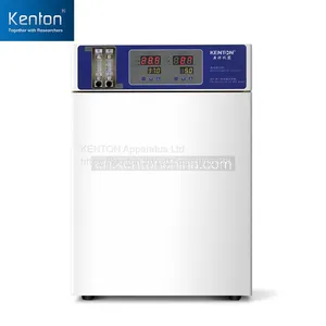 CO2 IncubatorHCP Carbon Dioxide Incubator，Cell Incubator for Laboratory Use in Hospital Scientific Research Units thumbnail-1
