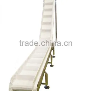 Food Grade Product Conveyor thumbnail-1