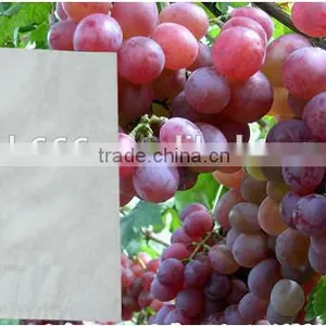 Grape Growing Paper Bag for Agriculture thumbnail-2