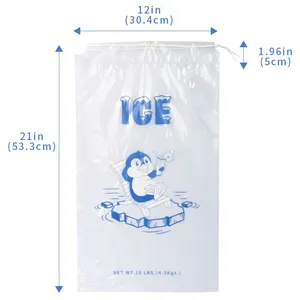 Transparent Poly LDPE Durable Food Grade Plastic Ice Bags for Ice Cube Packing Storage With Printing thumbnail-5