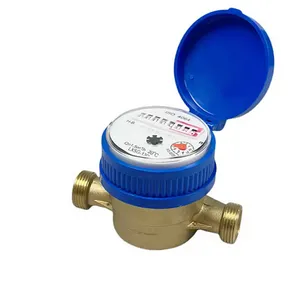 Single-Jet Dry Type Small Size Brass Stainless Steel Iron Water Meter thumbnail-1