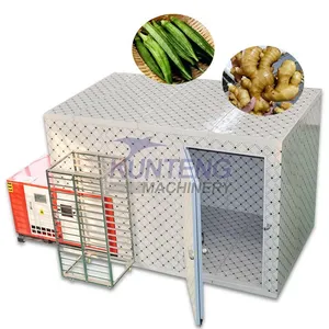 Fruit Okra Drying Machine Ginger Chips Dryer Machine Ginger Drying Production Line EPC thumbnail-1