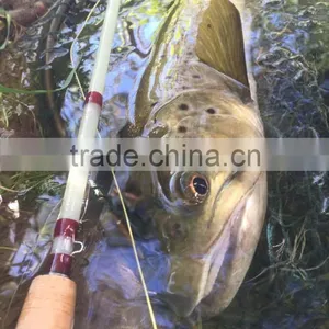 Uniglass Translucent Fibre Glass Fly Rod, 7'3" #3/4 thumbnail-6