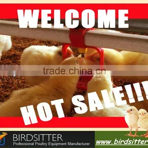 New Design Automatic Mechanized Poultry Drinking Line for Broiler Breeder Layer Chickens thumbnail-1