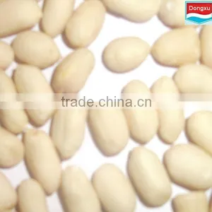 Good Quality Blanched Peanuts thumbnail-1