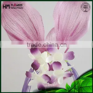 Ornamental Plants Lucy Cat thumbnail-2