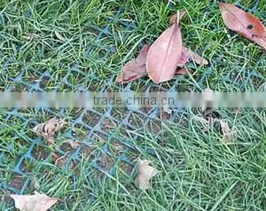 Grass Mesh for Turf and Lawn Reinforcement thumbnail-3