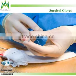 Latex Surigcal Gloves thumbnail-4