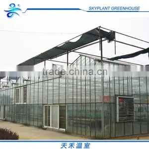 Horticultural Glass Greenhouse Multi-span Glass Greenhouse thumbnail-2