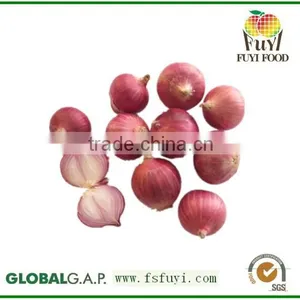 Fresh Red Oinon Shallots thumbnail-1