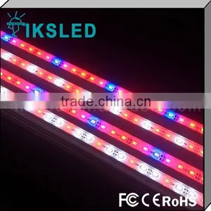 2015 Led Light for Plants Grow Led Grow Light Waterproof Led Strip DC12V/24V thumbnail-1