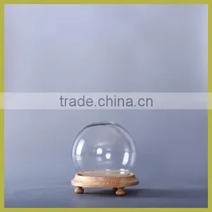 Clear Glass Display Dome thumbnail-4