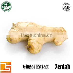 High Quality Gingerol Ginger Extract Ginger Root Powder thumbnail-5