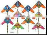 Kites thumbnail-1