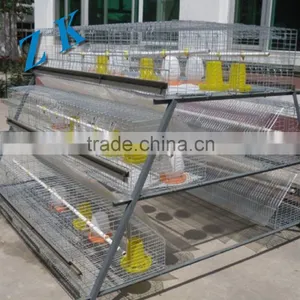 Hot Selling Automatic A Type Layer Cage -totally Automatic thumbnail-1