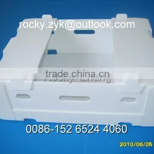 Best Corrugated Plastic Package Box for Banana Packing Carton thumbnail-6