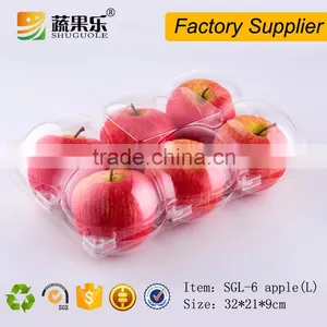 6 Loaded Clear Plastic Packing Box for Orange/apple thumbnail-2