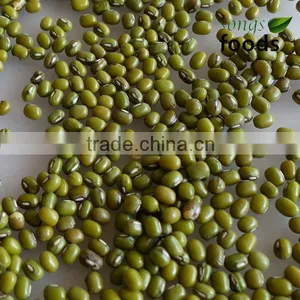 China Bulk Fresh Green Mung Bean For Sale thumbnail-1