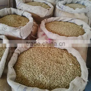 Eagle Coriander Seeds thumbnail-5