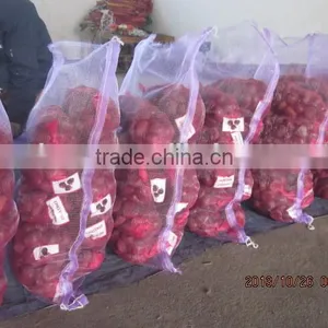 Chestnuts for Sale 40-60 thumbnail-3