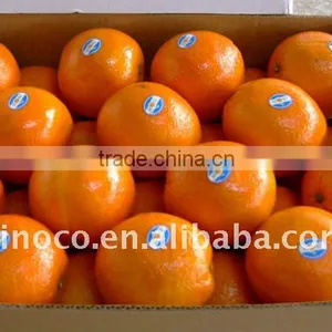Jiangxi Navel Orange in 15kg Carton thumbnail-1