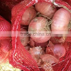 Fresh Red Onion and Yellow Onion With Wholesales Price thumbnail-4