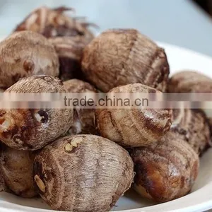 Rice Reaper Taro thumbnail-5