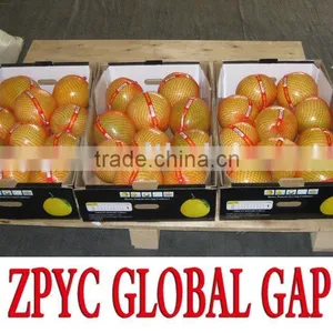 Chinese Fresh Pomelo thumbnail-1